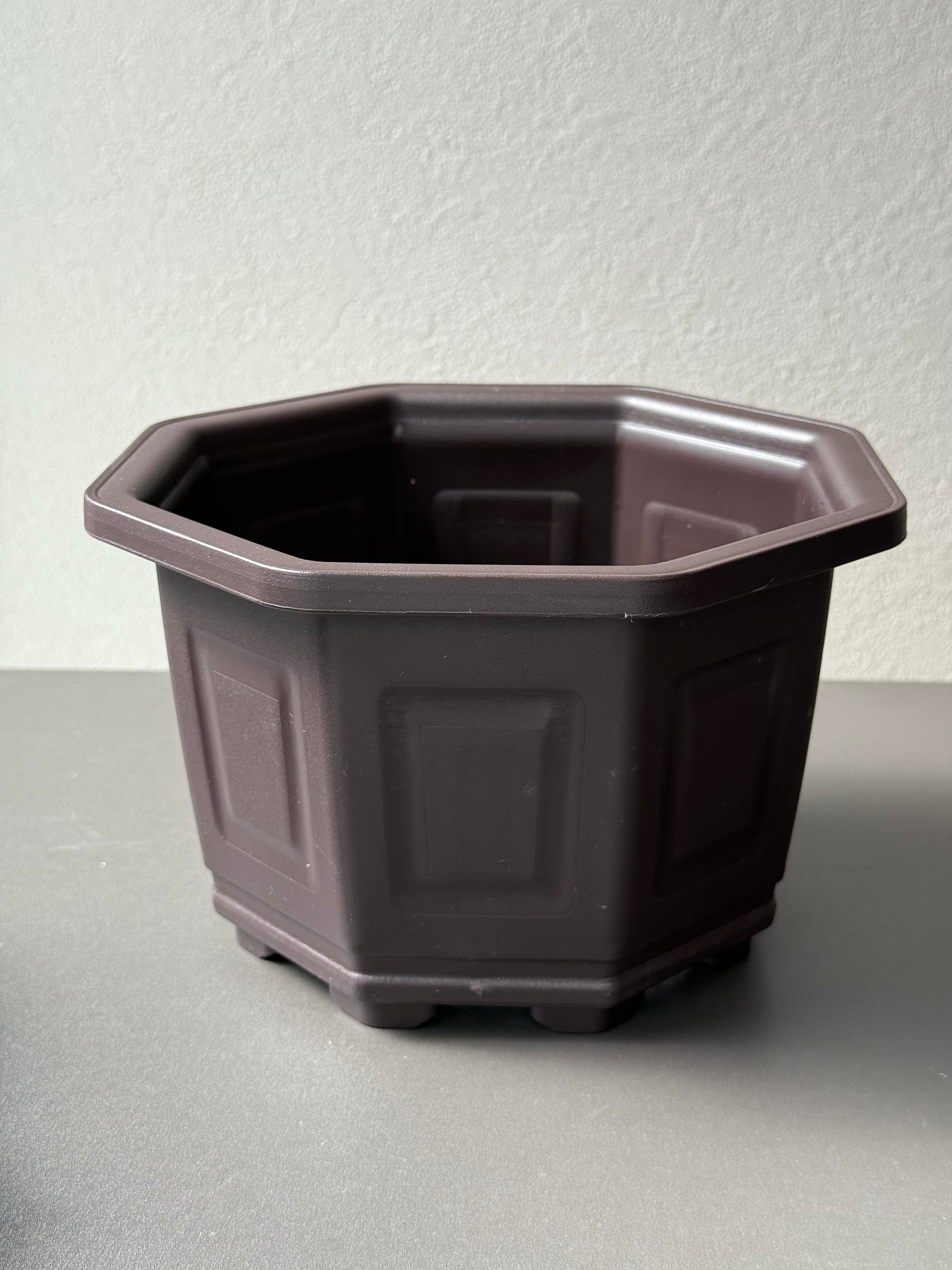 台湾製 7寸八角鉢（1000円以上送料無料） – Caudexsan