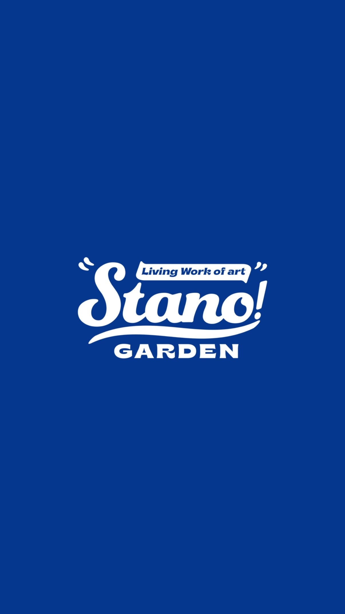 STANO 台湾アガベ