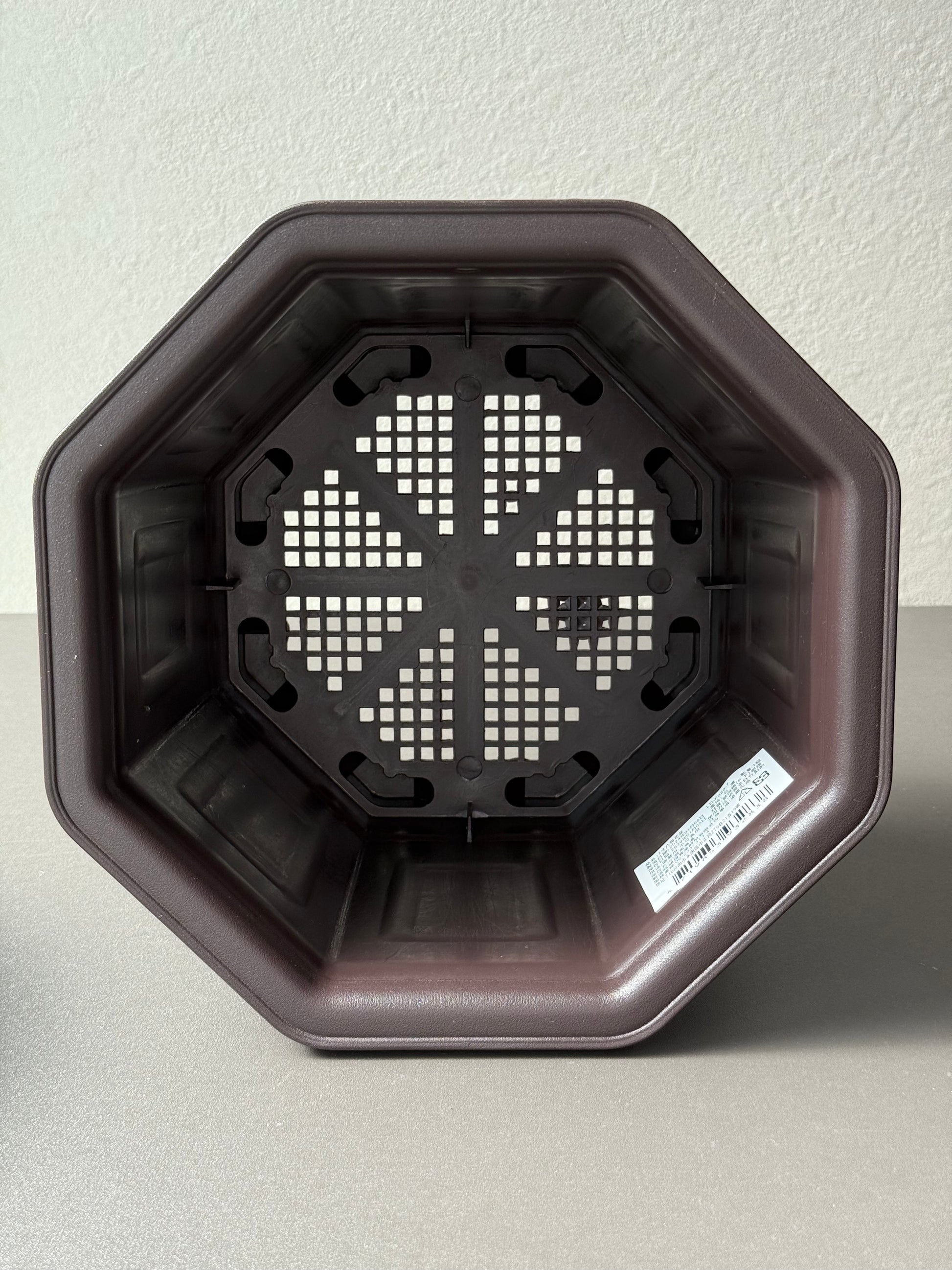 台湾製 7寸八角鉢(1000円以上送料無料) – Caudexsan 台湾製 7寸八角鉢(1000円以上送料無料) – Caudexsan