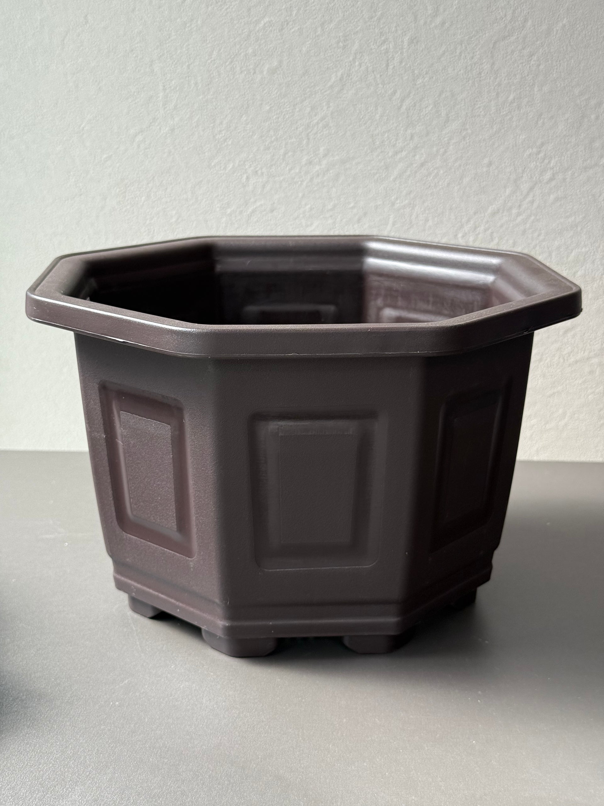 新品　台湾八角鉢　3寸　20個　Agave鉢 新品 台湾八角鉢 5寸 10個 Agave鉢 台湾輸入品 - メルカリ