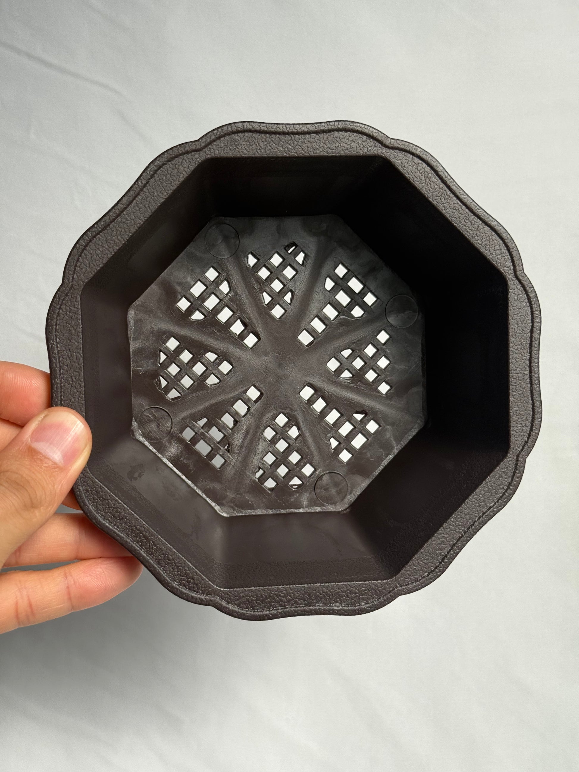 台湾製 5寸浅型 八角鉢（1000円以上送料無料)